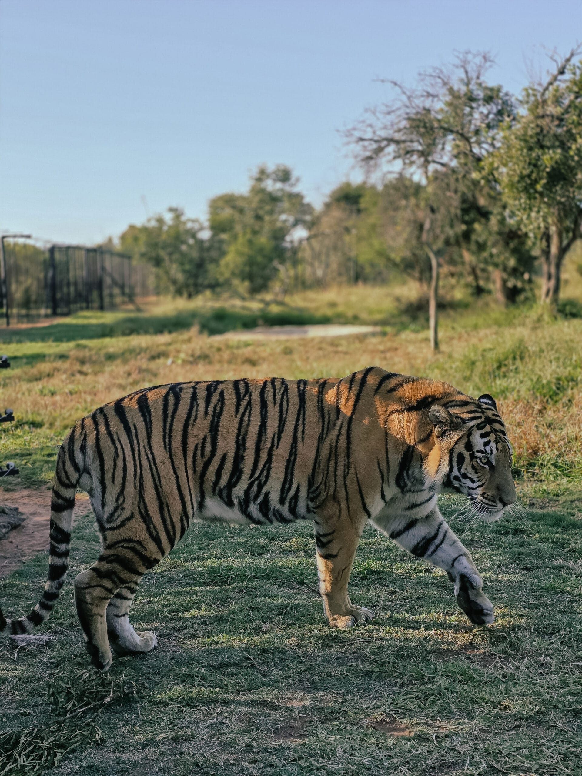 South Africa