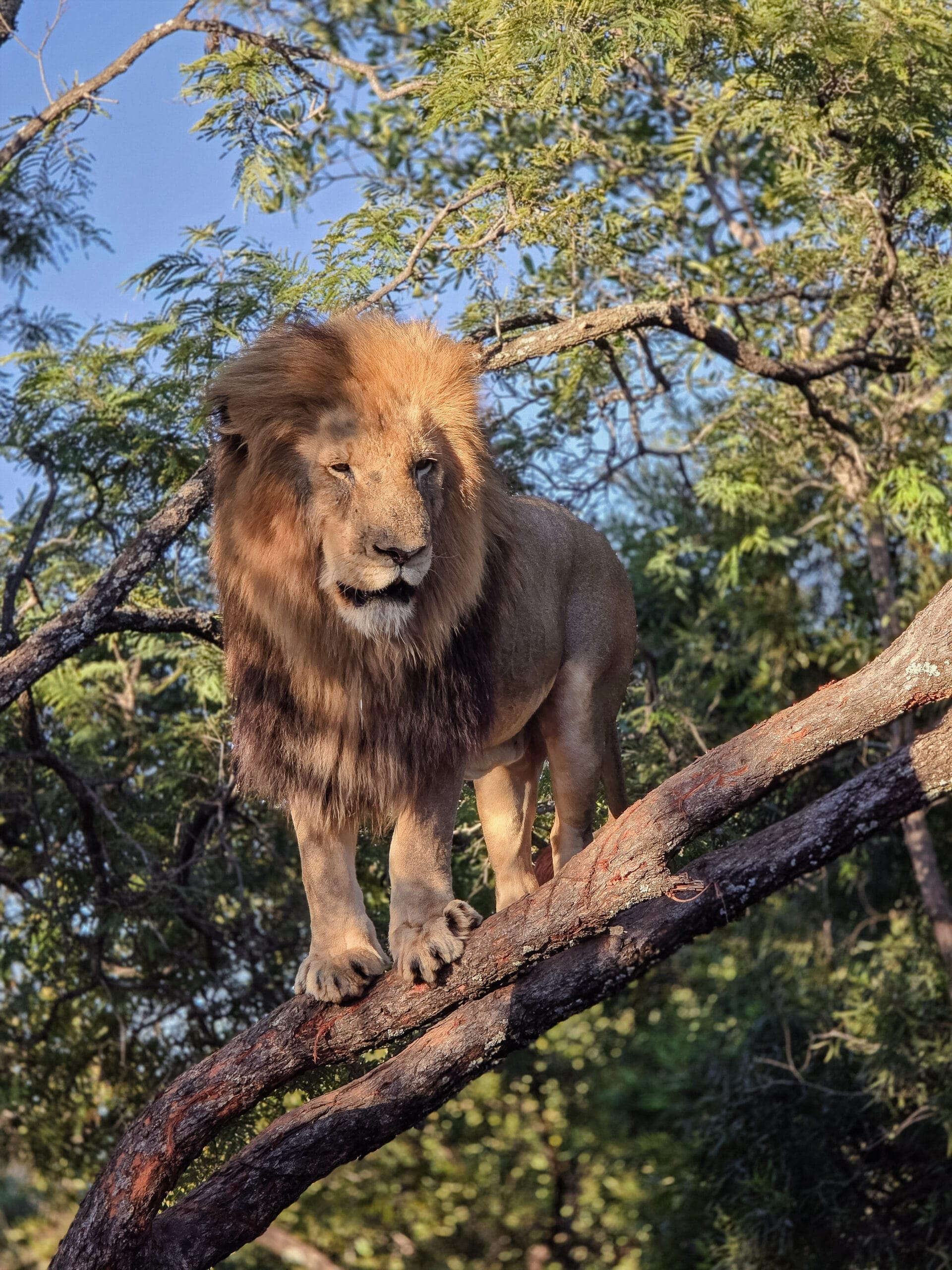 South Africa