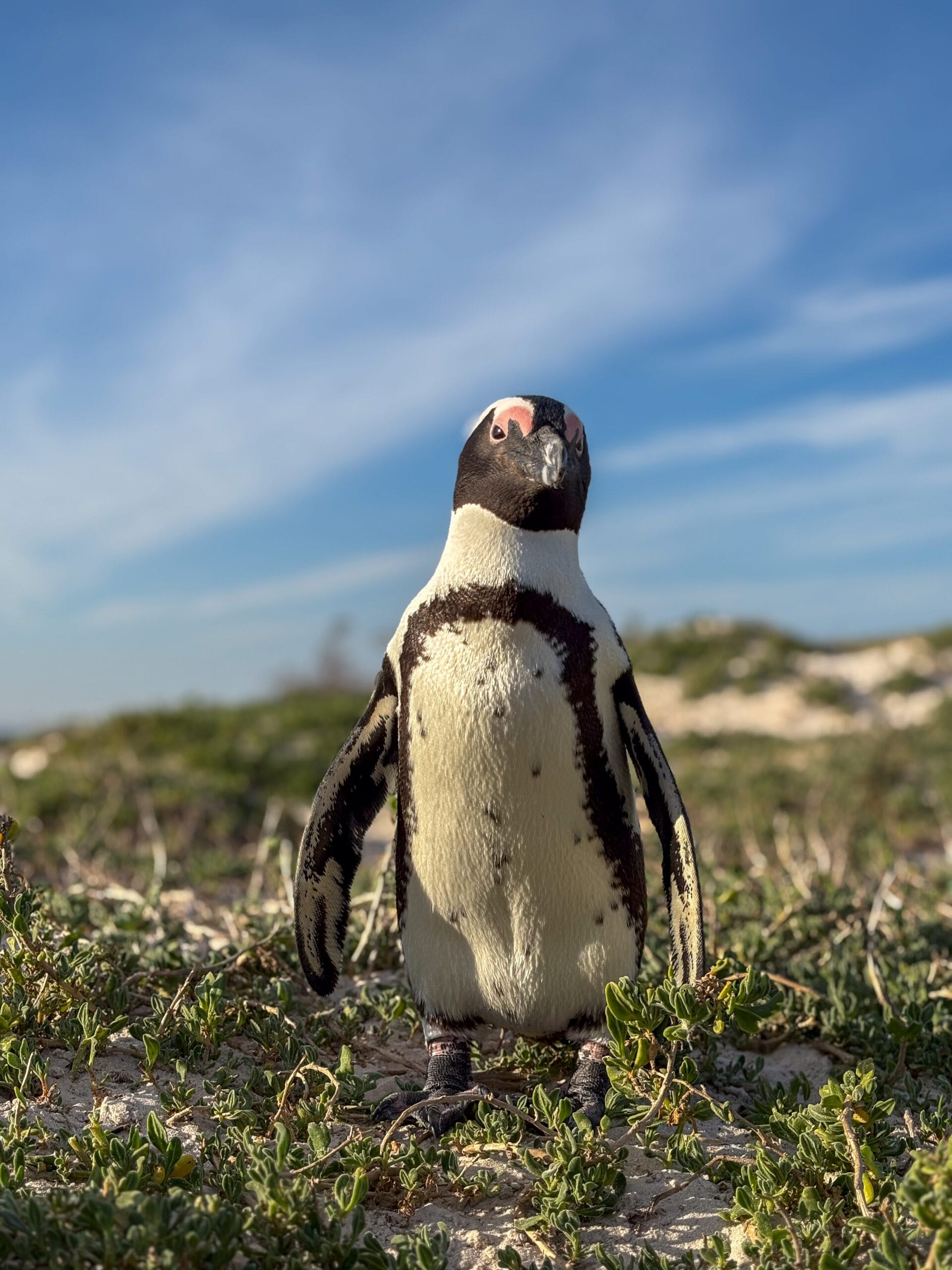 South Africa