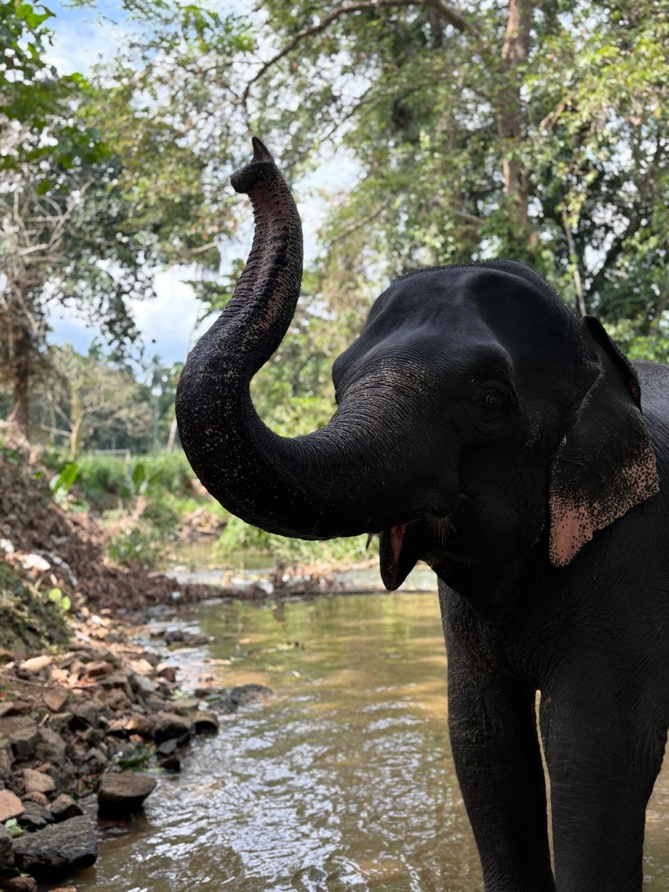 Sri Lanka