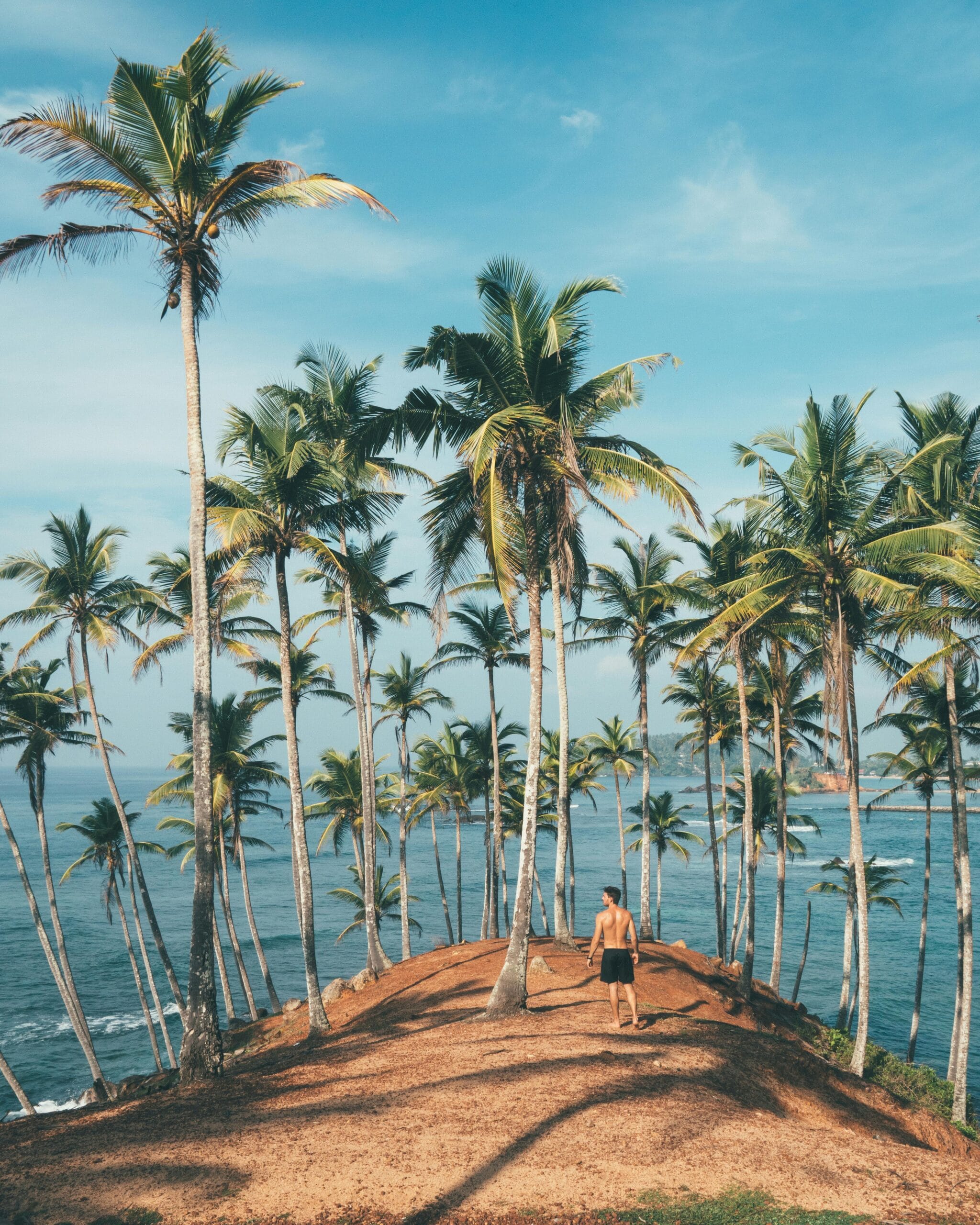 Surf, safari and sundowners group trip Sri Lanka