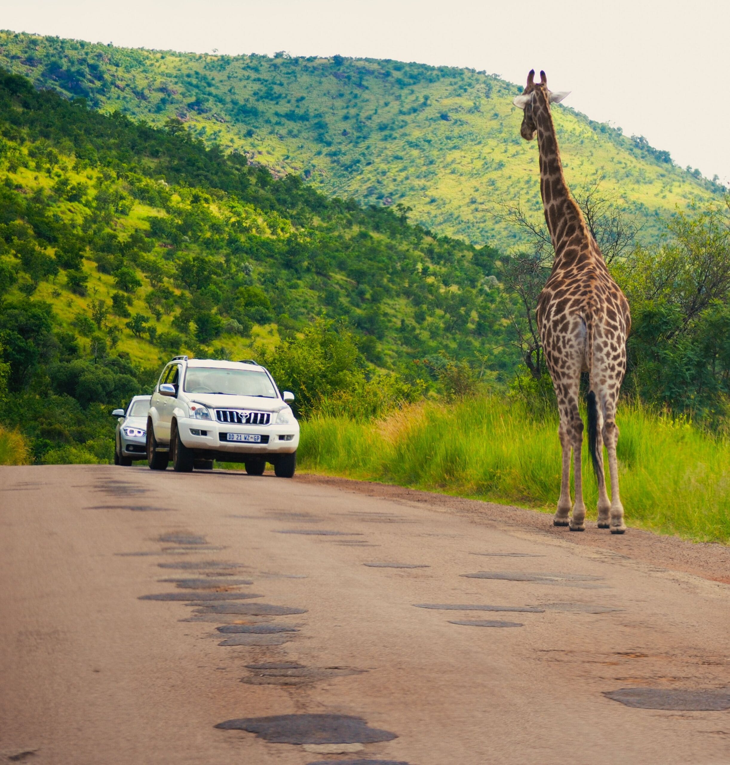 South Africa